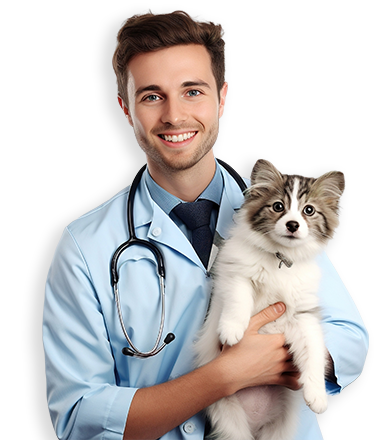 Healvet Doctor