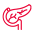 Pancreatis